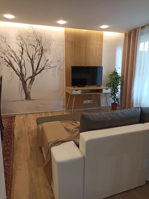 Tres Bel Appartement Rez De Jardin Appart De 53M2. Pfastatt Exteriör bild
